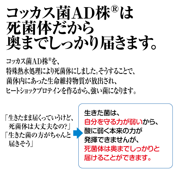 コッカス菌AD株®は奥まで届く